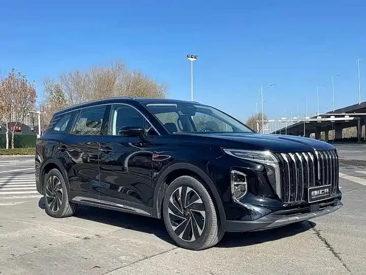 Hongqi HS7 PHEV 2024 из CN, фото 4