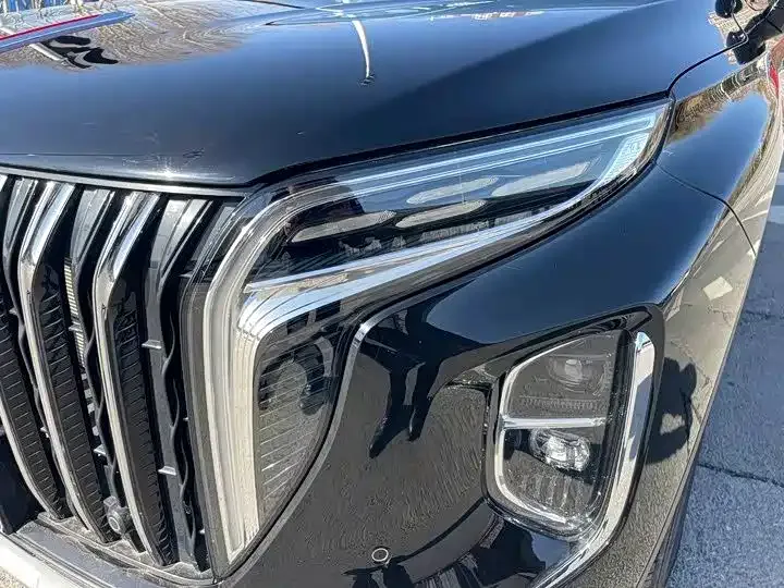 Hongqi HS7 PHEV 2024 из CN, фото 6