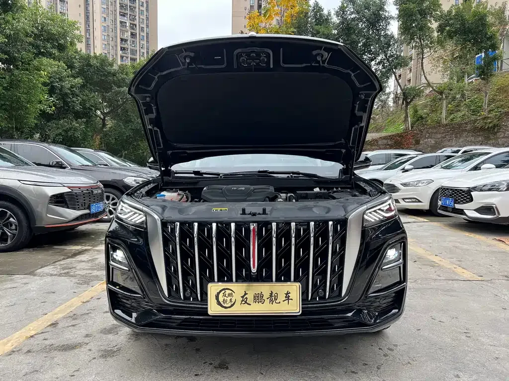 Hongqi HS5 2025 из CN, фото 4