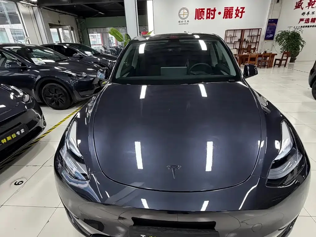 Tesla Model Y 2024 из CN, фото 6