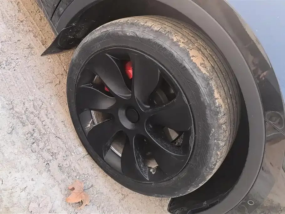 Tesla Model Y 2023 из CN, фото 7