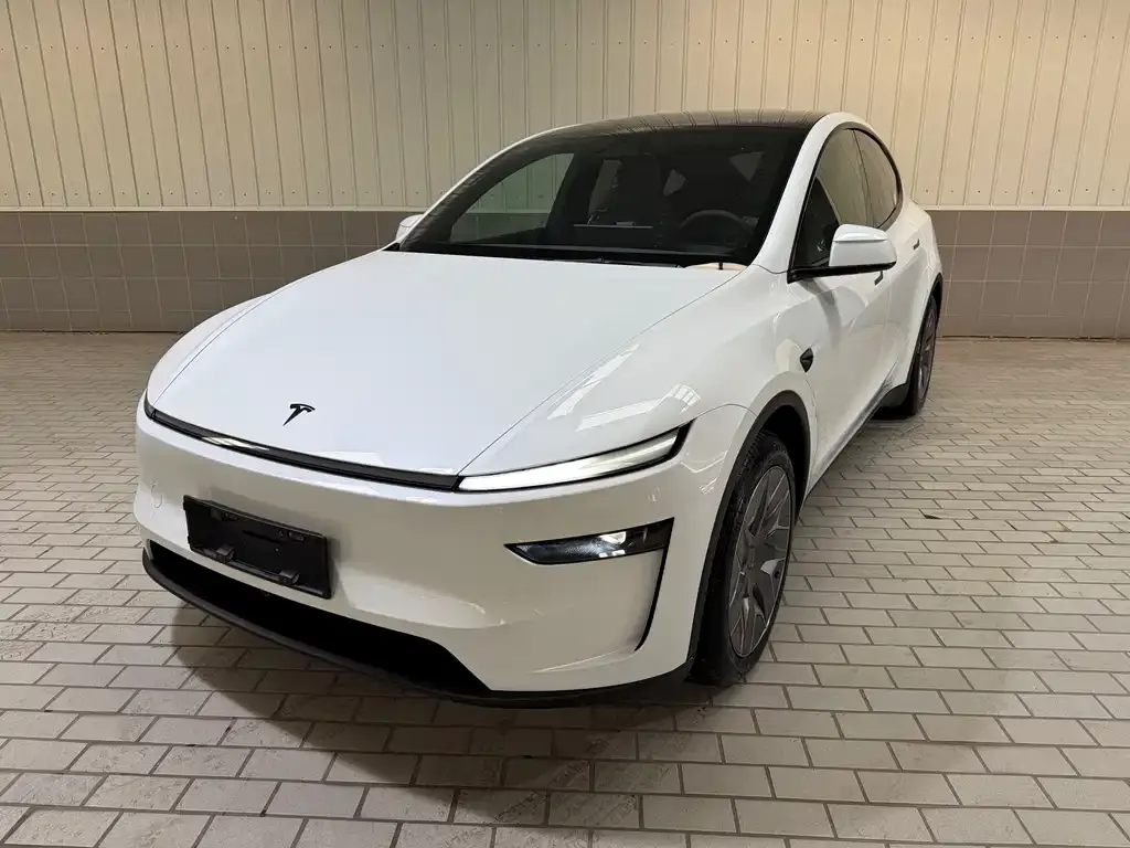 Tesla Model Y L — фото 1