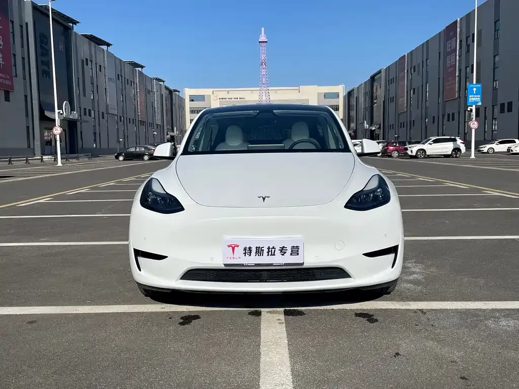 Tesla Model Y — фото 3