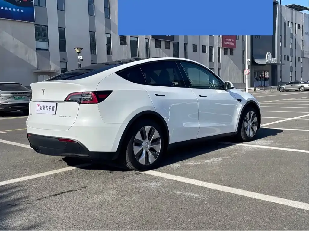 Tesla Model Y — фото 10