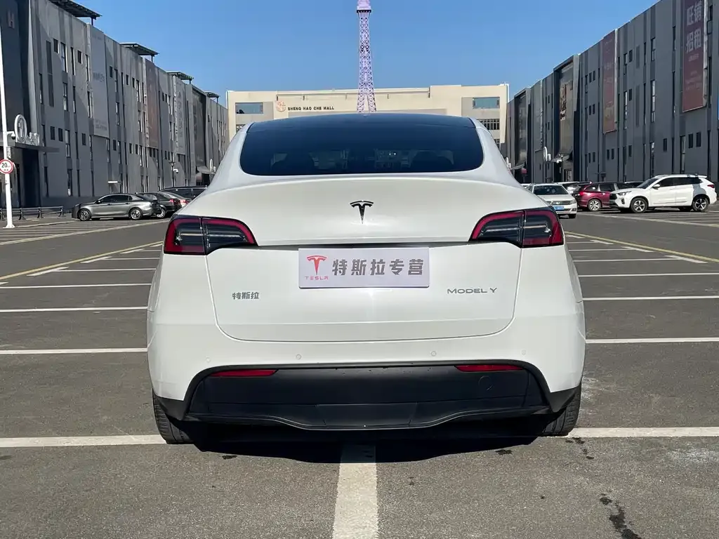Tesla Model Y — фото 4