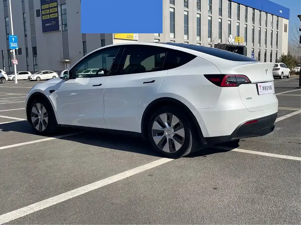 Tesla Model Y — фото 8