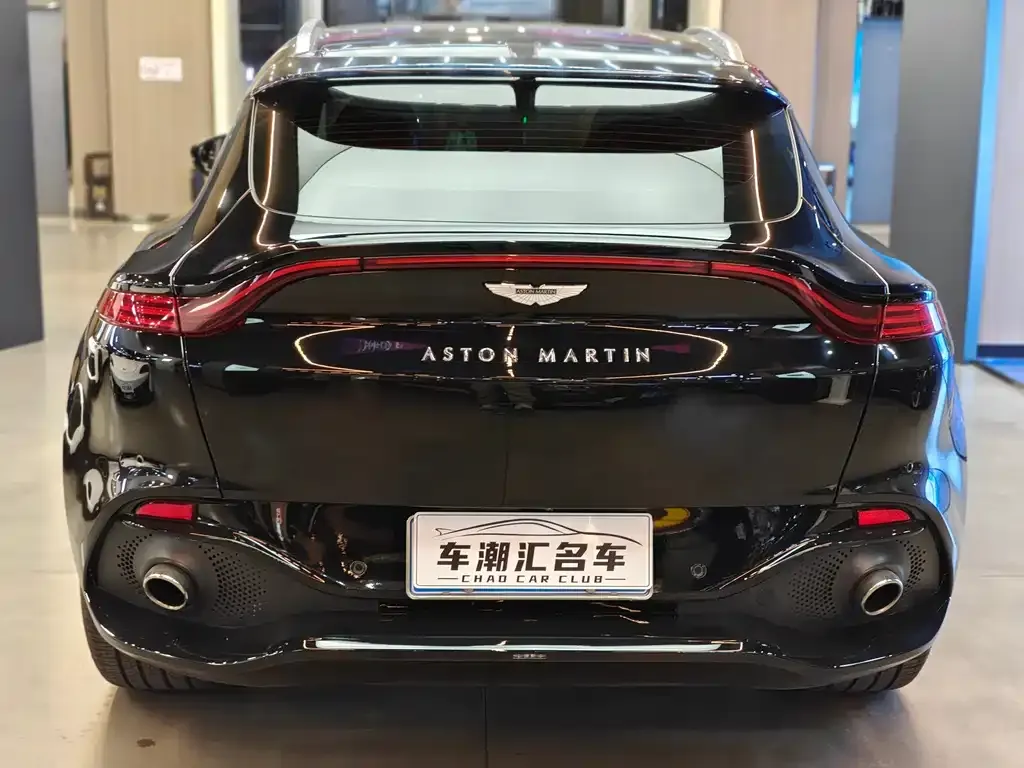 Aston Martin DBX 2023 из CN, фото 5