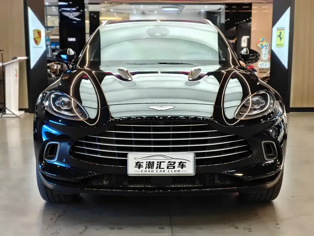 Aston Martin DBX 2023 из CN, фото 7