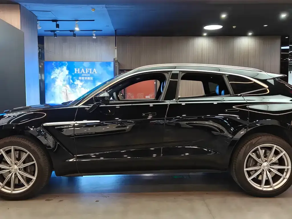 Aston Martin DBX 2023 из CN, фото 4