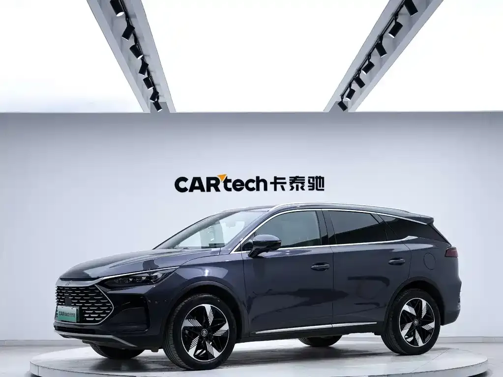 BYD Tang New Energy 2024 из CN, фото 1