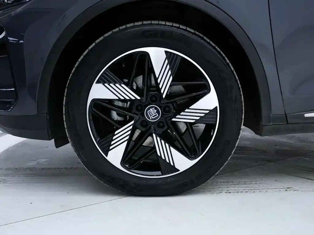 BYD Tang New Energy 2024 из CN, фото 7