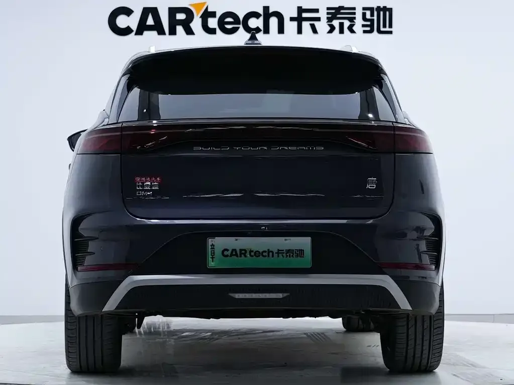 BYD Tang New Energy 2024 из CN, фото 9