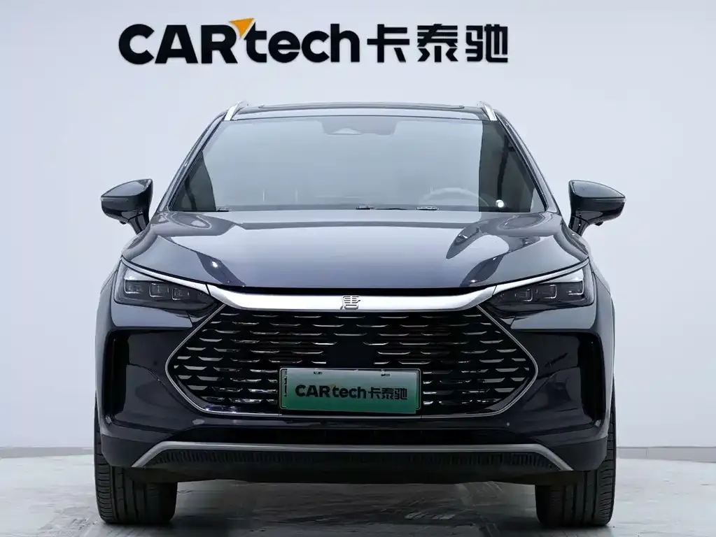 BYD Tang New Energy 2024 из CN, фото 10