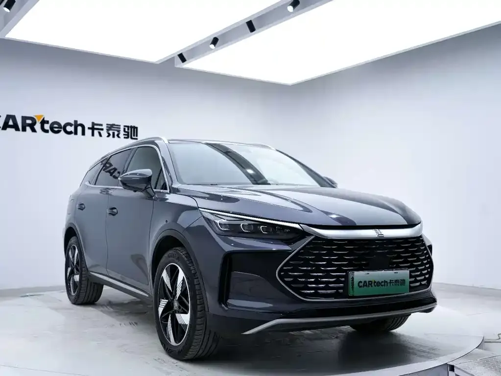 BYD Tang New Energy 2024 из CN, фото 5