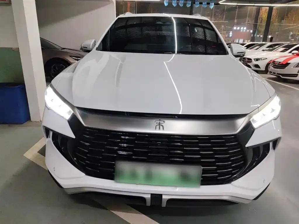 BYD Pro New Energy 2024 из CN, фото 9