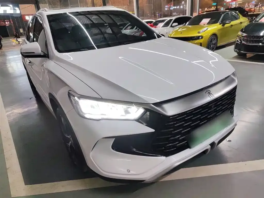BYD Pro New Energy 2024 из CN, фото 10