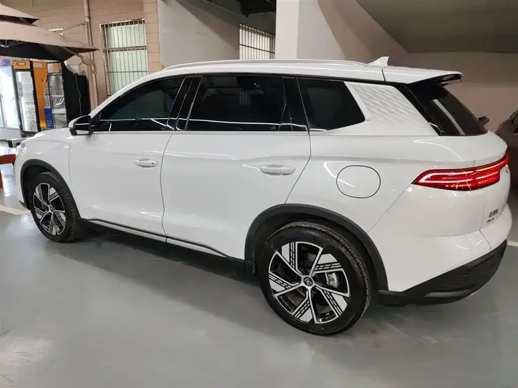 BYD Pro New Energy 2024 из CN, фото 4