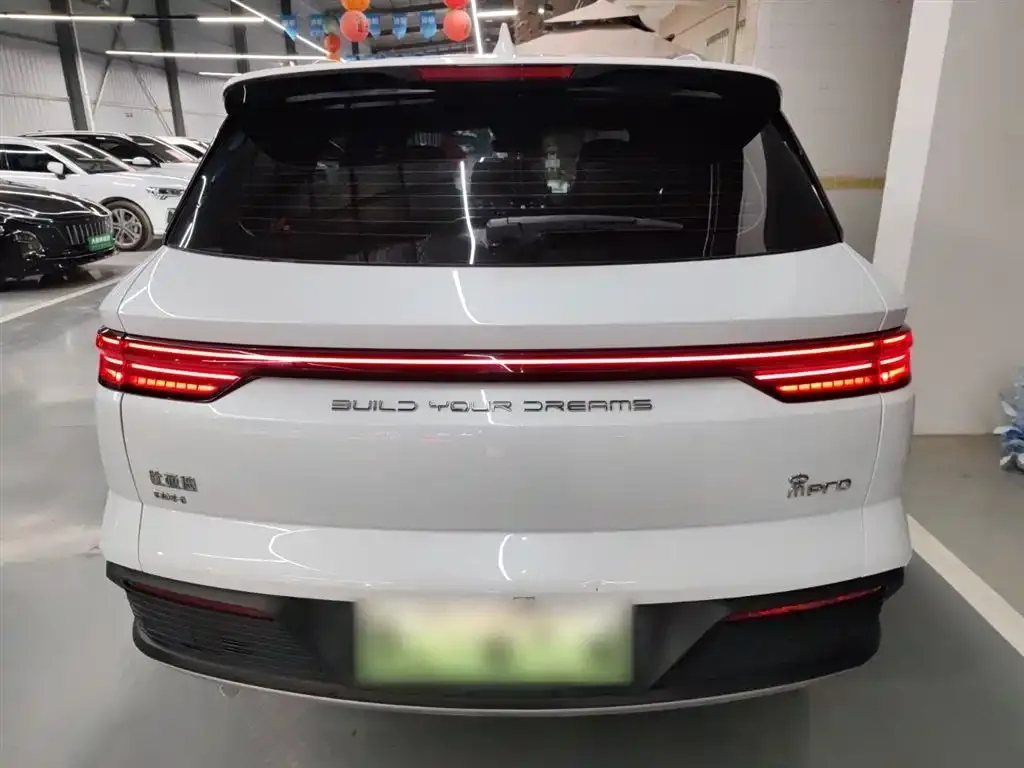 BYD Pro New Energy 2024 из CN, фото 8
