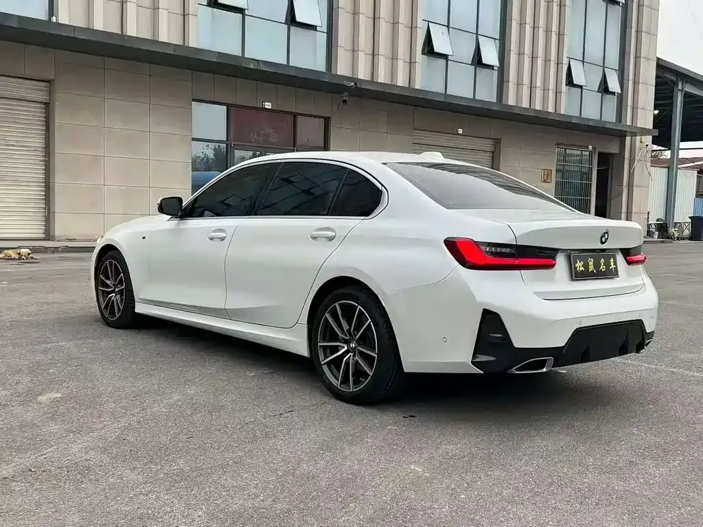 BMW 3 Series 2024 из CN, фото 7