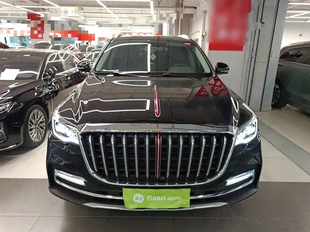 Hongqi HS7 2023 из CN, фото 9