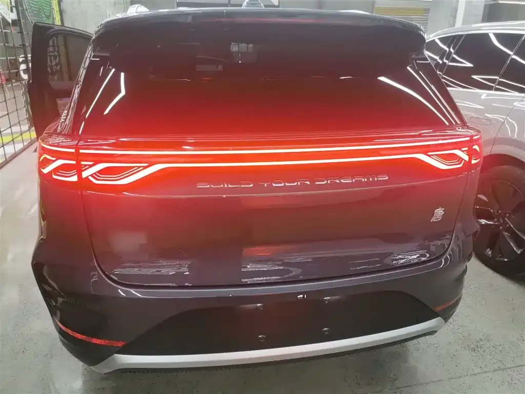 BYD Tang New Energy 2024 из CN, фото 6