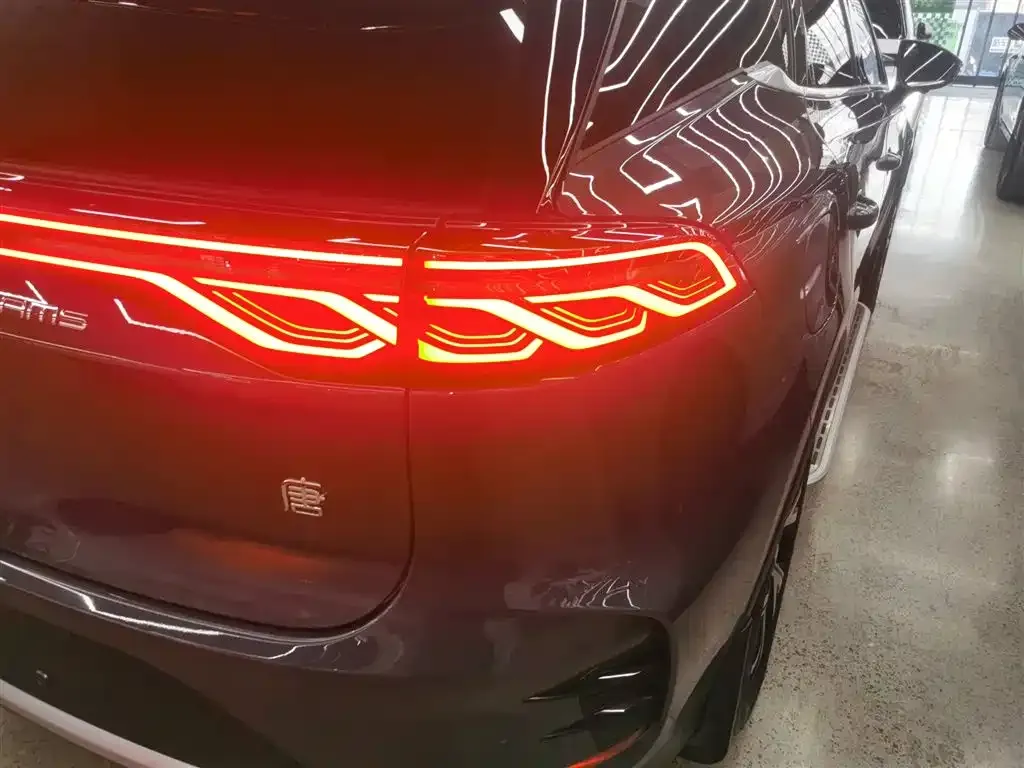 BYD Tang New Energy 2024 из CN, фото 8