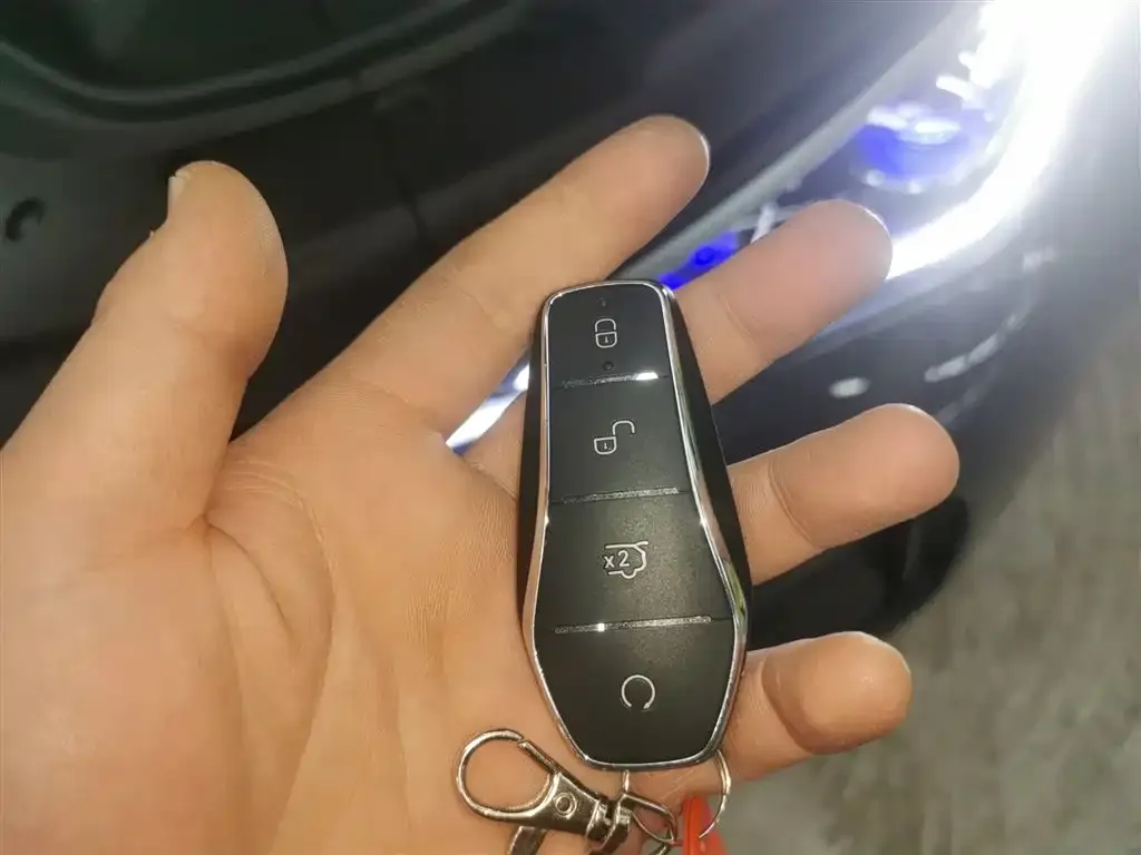 BYD Tang New Energy 2024 из CN, фото 9