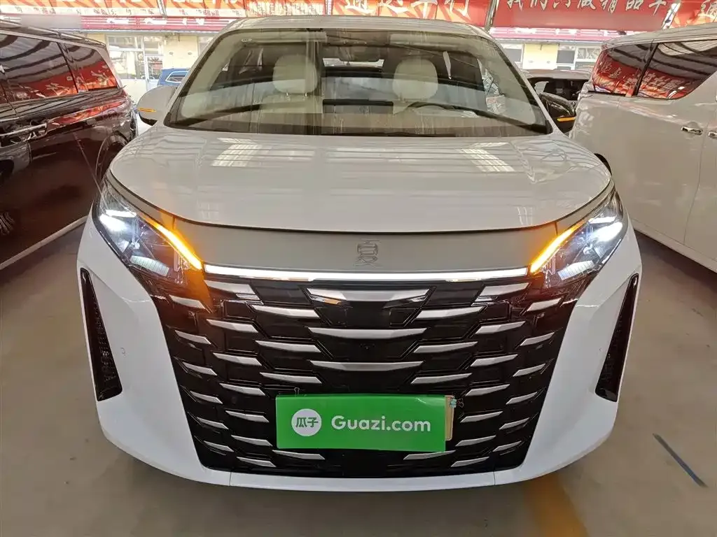 BYD Xia 2025 из CN, фото 9