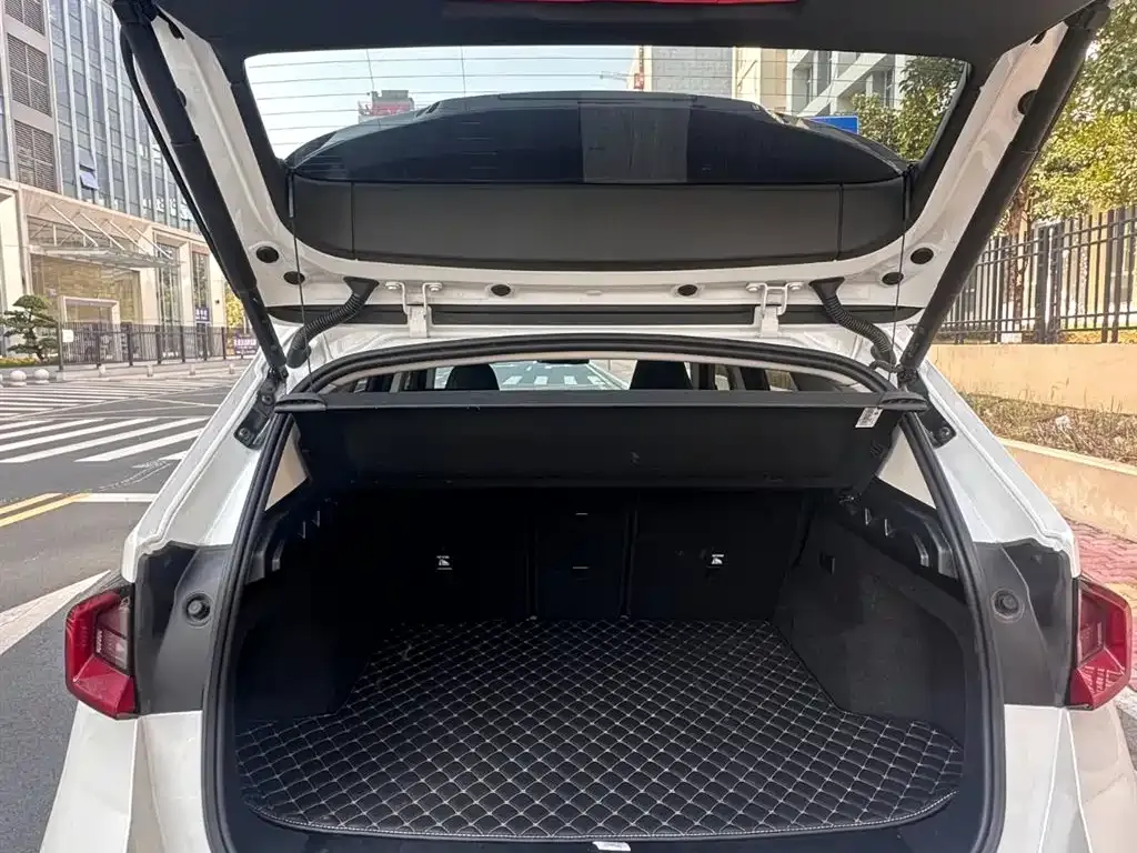 [object Object] iX1 2024 из CN, фото 8