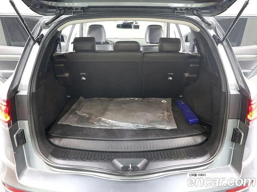 Renault Korea (Samsung) QM6 2022 из KR, фото 6