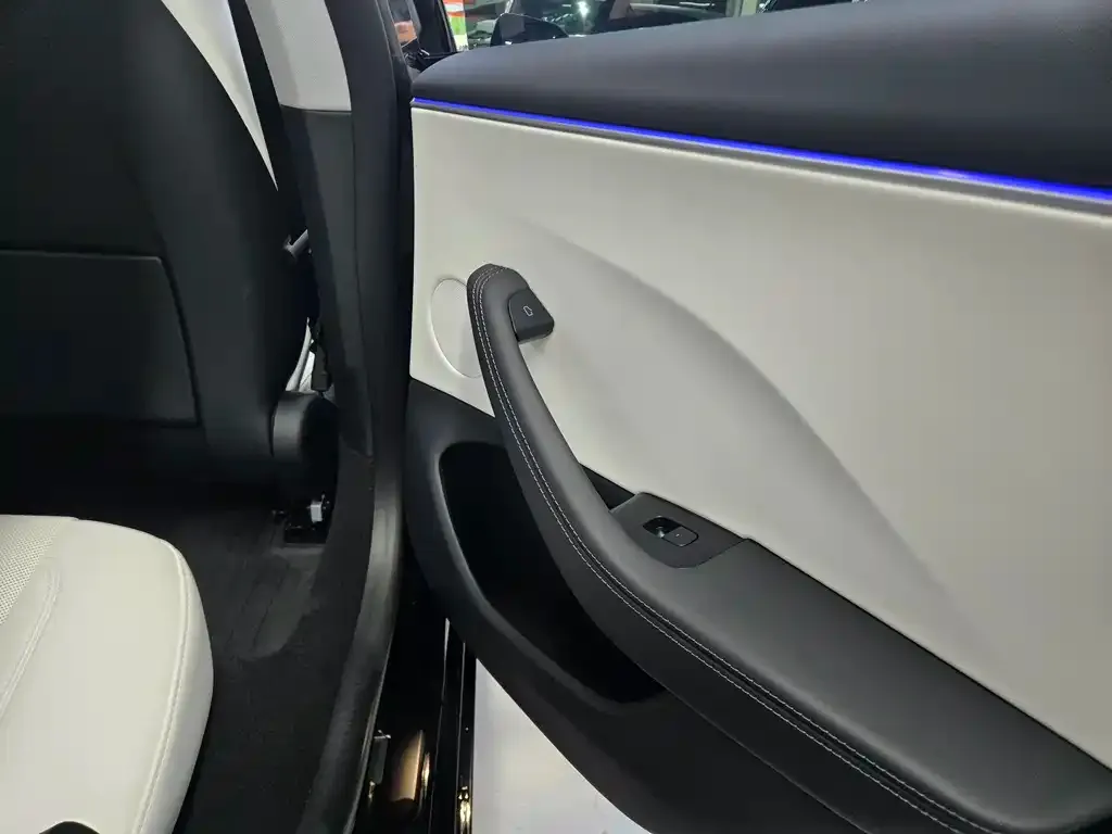 Tesla Model 3 2023 из CN, фото 5