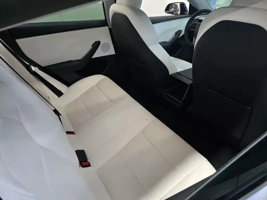 Tesla Model 3 2023 из CN, фото 6