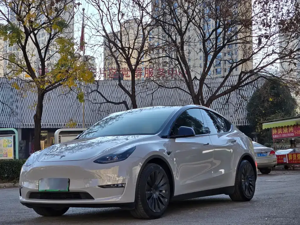 Tesla Model Y — фото 1