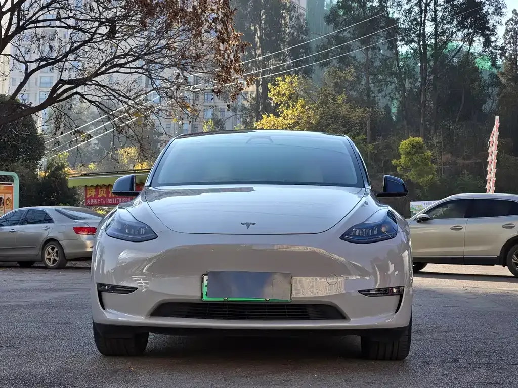 Tesla Model Y — фото 2
