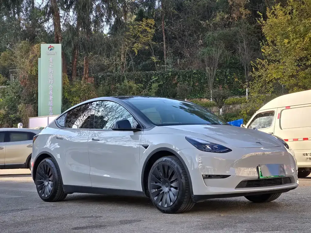 Tesla Model Y — фото 3