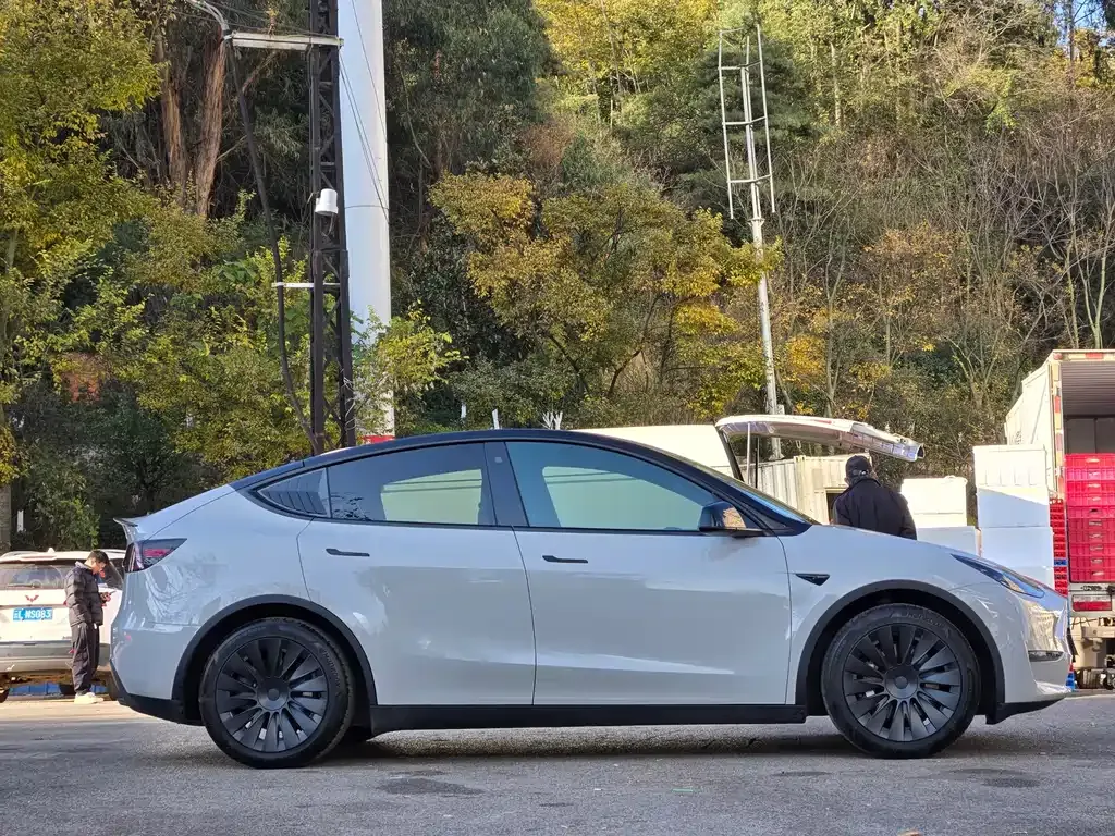 Tesla Model Y — фото 4