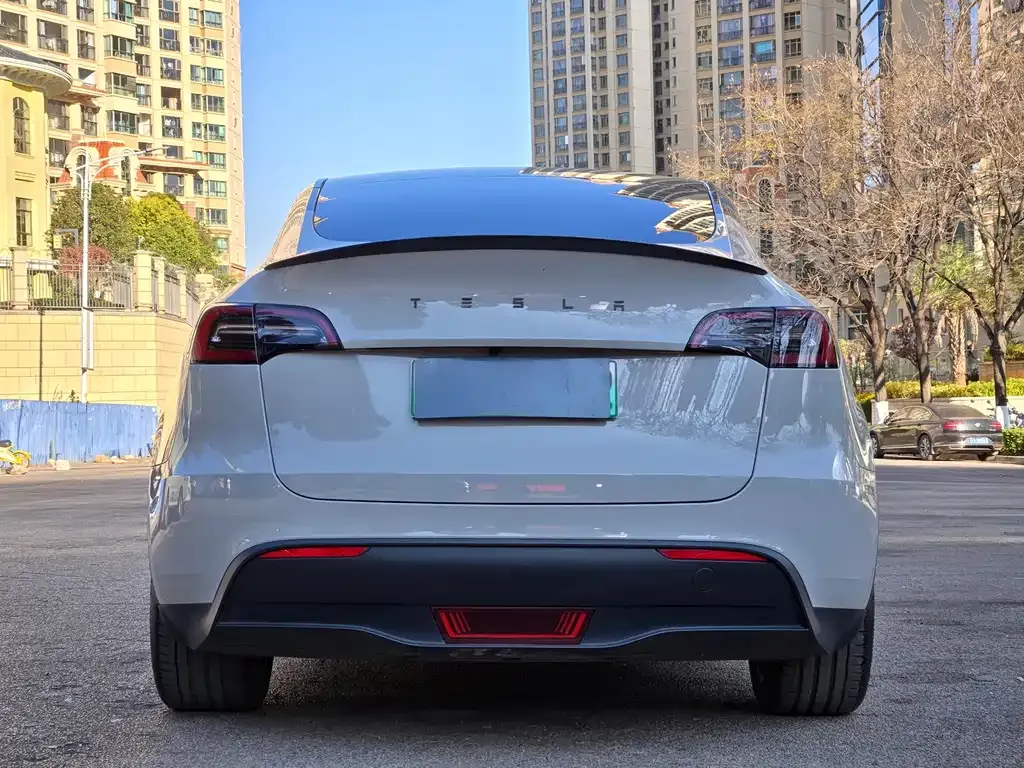Tesla Model Y — фото 6