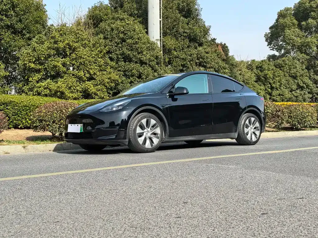 Tesla Model Y — фото 1