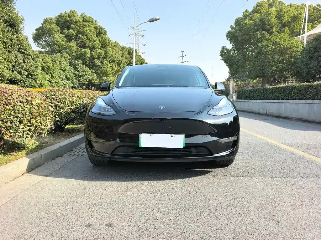 Tesla Model Y — фото 9