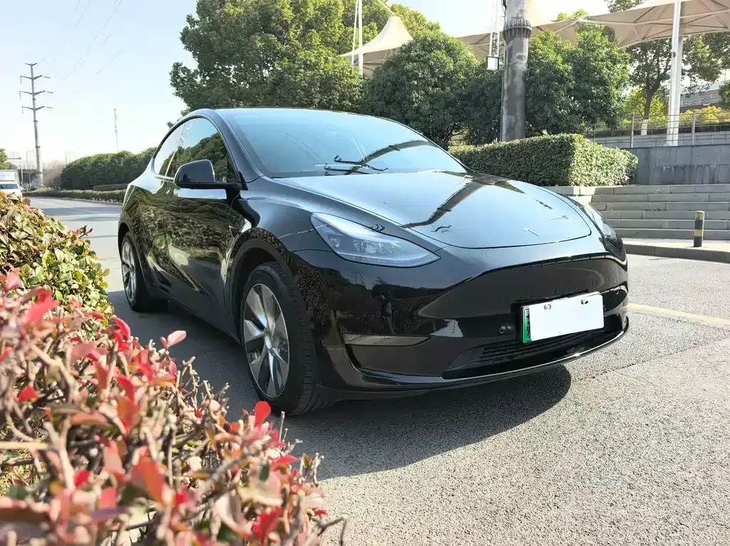 Tesla Model Y — фото 6