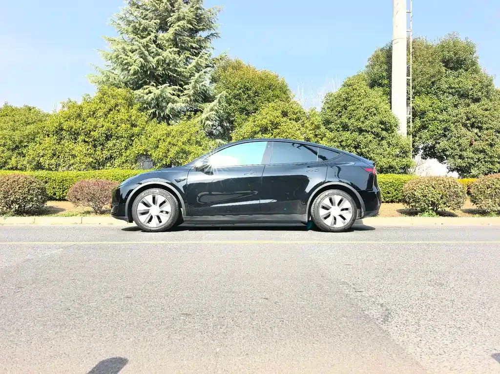 Tesla Model Y — фото 7