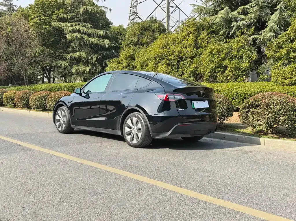 Tesla Model Y — фото 10