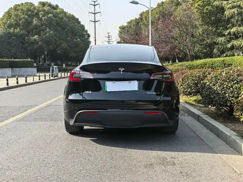 Tesla Model Y — фото 8