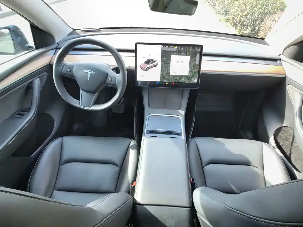 Tesla Model Y — фото 2