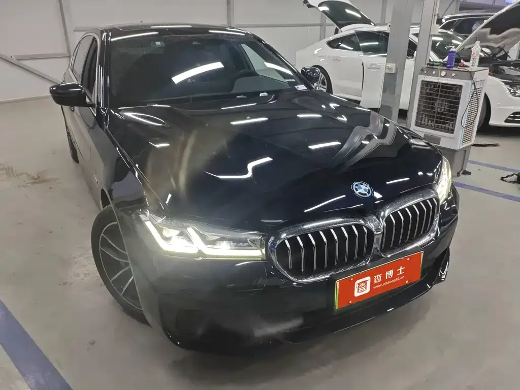 BMW 5 Series New Energy 2022 из CN, фото 2
