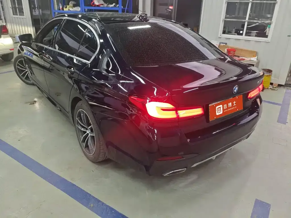 BMW 5 Series New Energy 2022 из CN, фото 6