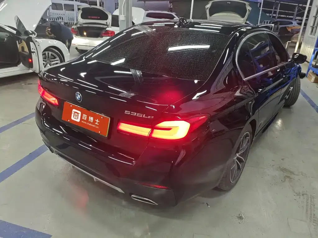 BMW 5 Series New Energy 2022 из CN, фото 7