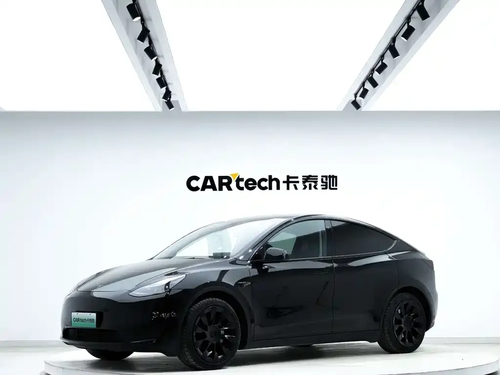 Tesla Model Y — фото 1