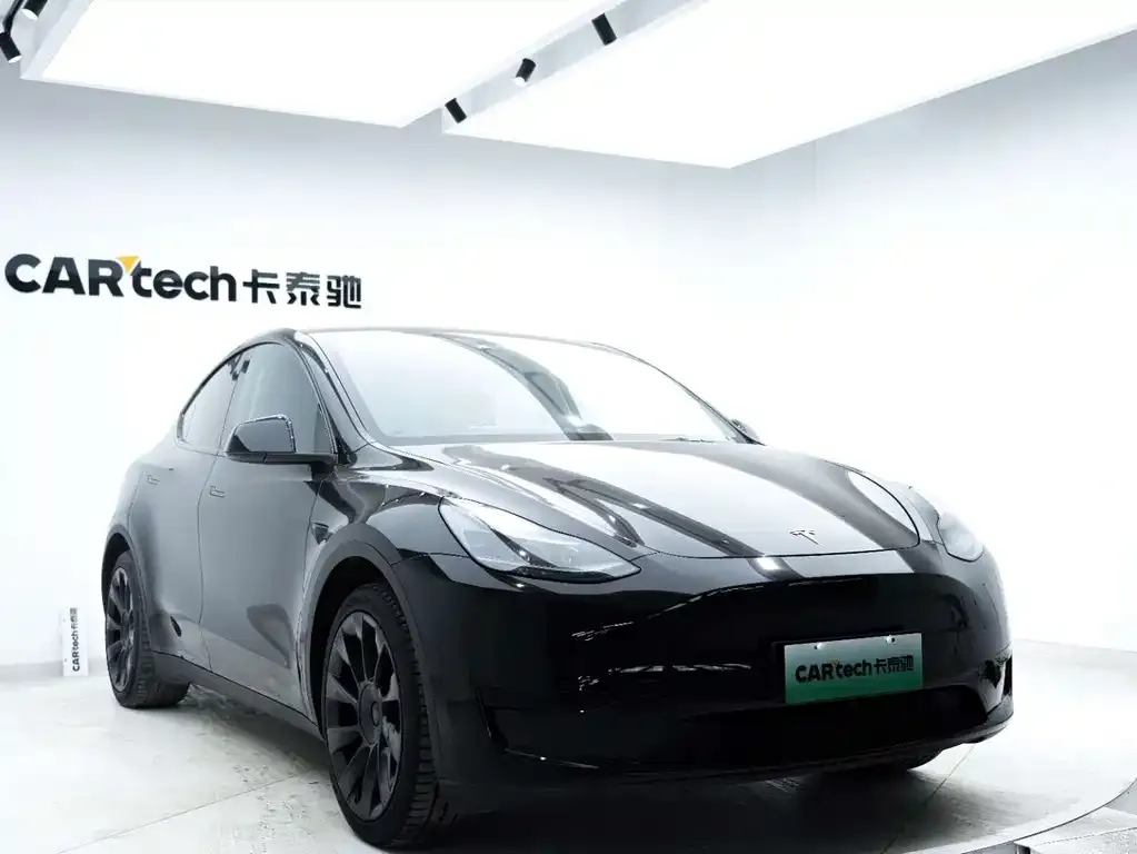 Tesla Model Y — фото 6