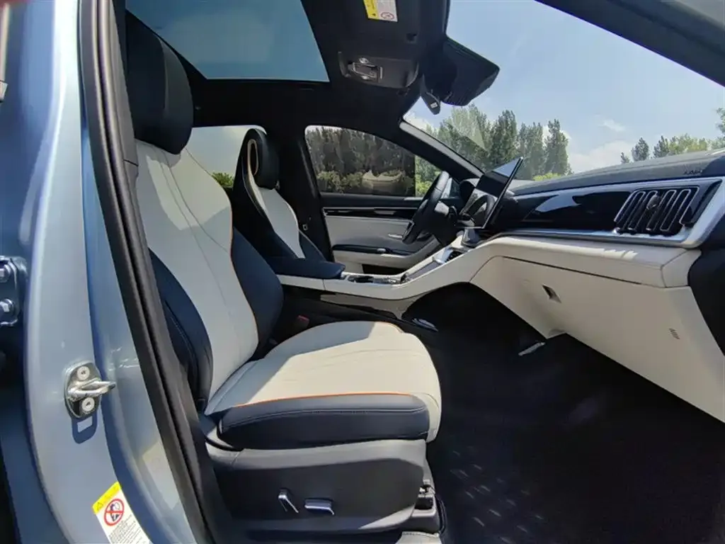 BYD PLUS New Energy 2024 из CN, фото 4